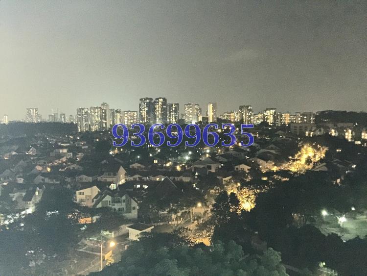 Blk 2 Ghim Moh Road (Queenstown), HDB 3 Rooms #115848032